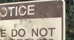 Rules Are Made To Be Broken